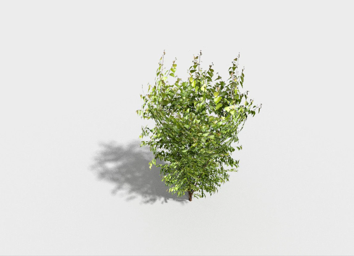 low poly tree 3D Model .c4d .max .obj .3ds .fbx .stl .blend