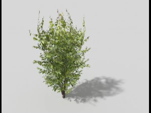 low poly tree 3D Model