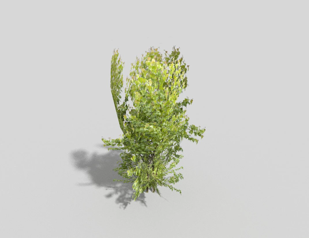 arbre low poly Modèle 3D .c4d .max .obj .3ds .fbx .stl .blend 