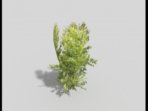 low poly tree 3D Model
