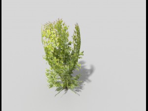 low poly tree 3Dモデル