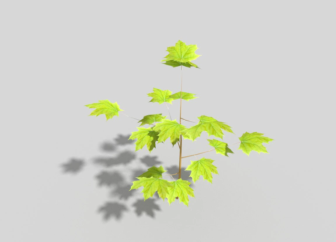 albero poli basso Modello 3D .c4d .max .obj .3ds .fbx .stl .blend 