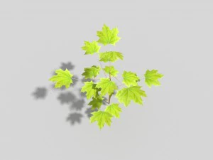 albero poli basso Modello 3D