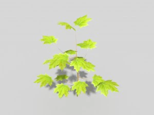 albero poli basso Modello 3D
