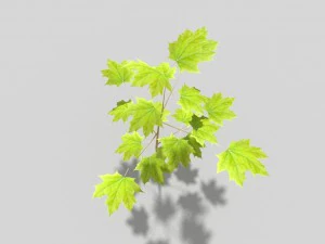 albero poli basso Modello 3D