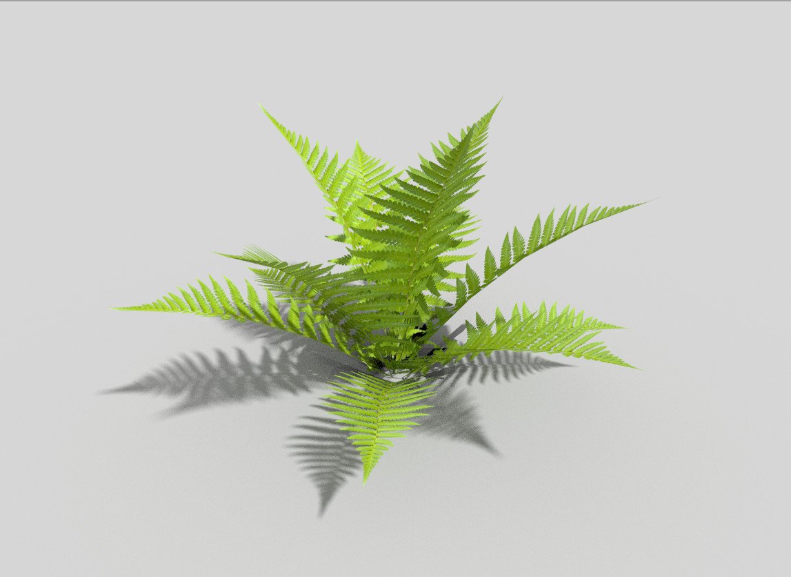 Low Poly Fern 3d Model In Small Plants 3dexport