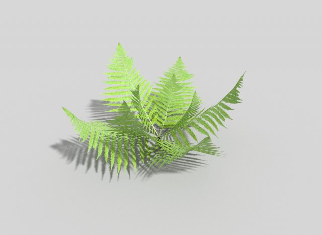 low poly fern 3D 模型 .c4d .max .obj .3ds .fbx .stl .blend 