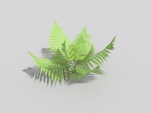 low poly fern 3D 모델