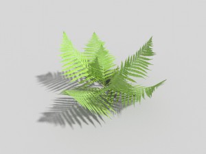 low poly fern 3D 模型