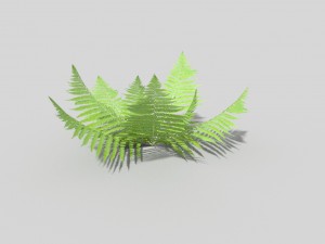 low poly fern 3D 模型