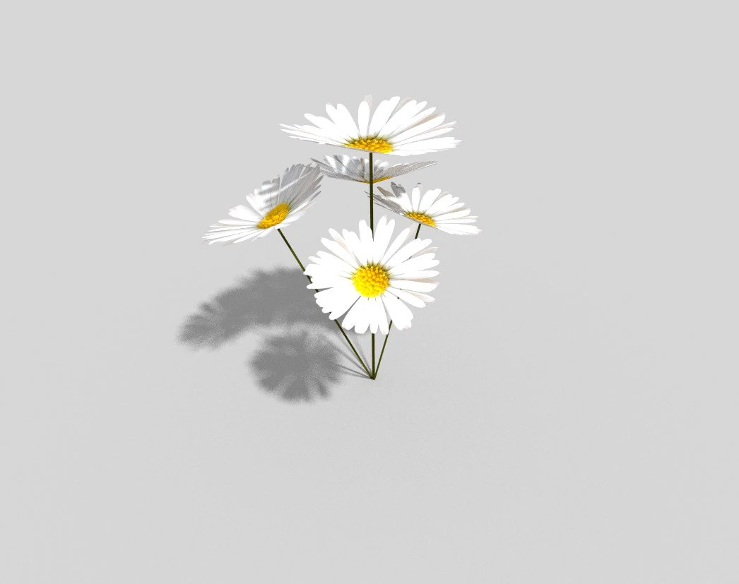 low poly plant 3D Model .c4d .max .obj .3ds .fbx .stl .blend 