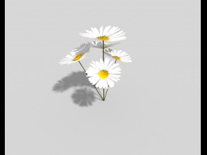 low poly plant 3D 모델