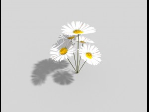 low poly plant 3D Модель