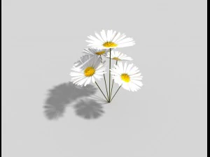 low poly plant 3D Model