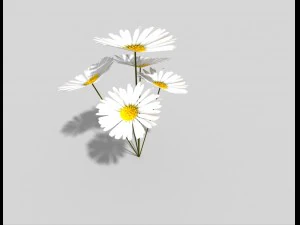 low poly plant 3D Model