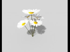 low poly plant 3D Model