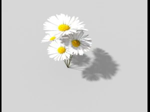 low poly plant 3D Model