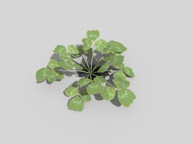 low poly plant 3D 模型 .c4d .max .obj .3ds .fbx .stl .blend 