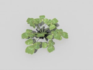 низкополигональное растение 3D Модель