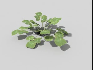низкополигональное растение 3D Модель