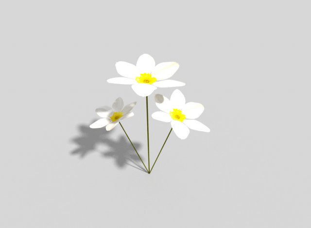 low poly flower 3D Model .c4d .max .obj .3ds .fbx .stl .blend 
