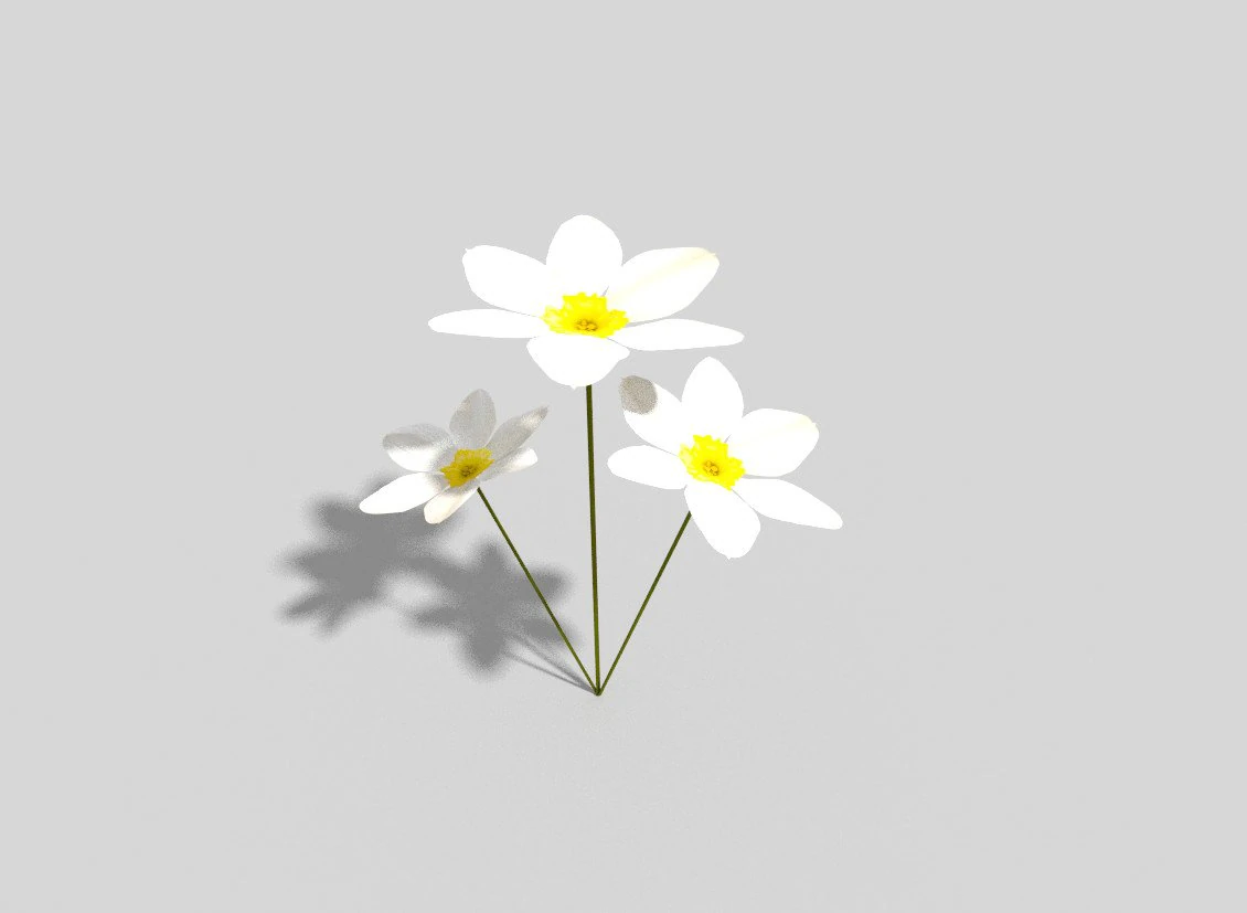 low poly flower 3D Model .c4d .max .obj .3ds .fbx .stl .blend 