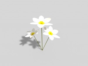 low poly flower 3D Model