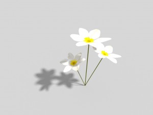 low poly flower 3D Model