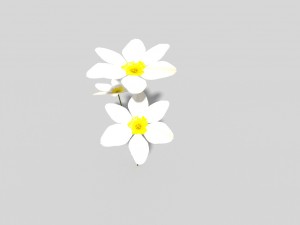 low poly flower 3D Model