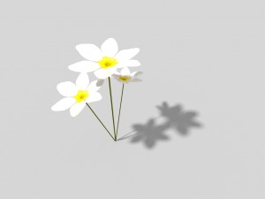 low poly flower 3D Model