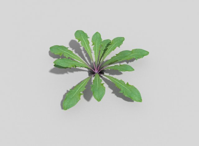 low poly plant Modelo 3D .c4d .max .obj .3ds .fbx .stl .blend 