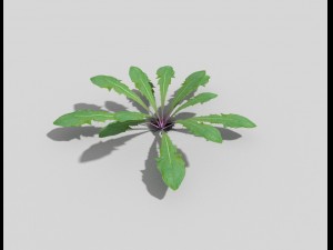 low poly plant Modelo 3D