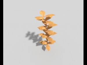 low poly plant 3Dモデル