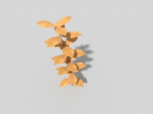 low poly plant 3Dモデル