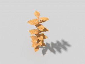 low poly plant 3Dモデル