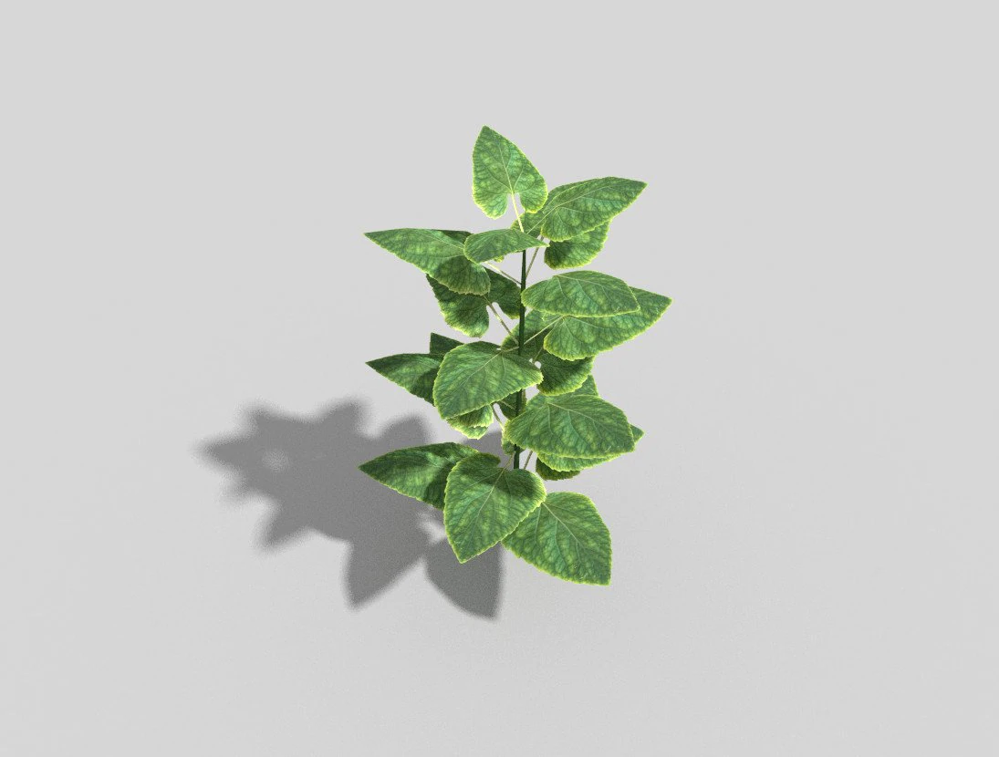 low poly plant 3D Model .c4d .max .obj .3ds .fbx .stl .blend 