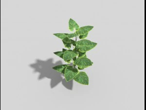 低ポリ植物 3Dモデル