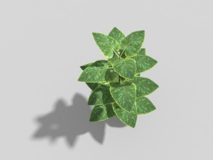 low poly plant 3D मॉडल