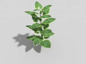 low poly plant 3D Model
