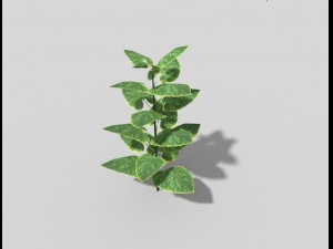 low poly plant 3D मॉडल