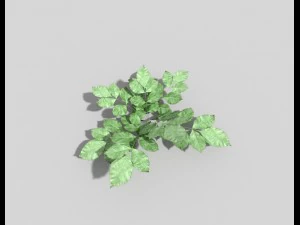낮은 폴리 식물 3D 모델