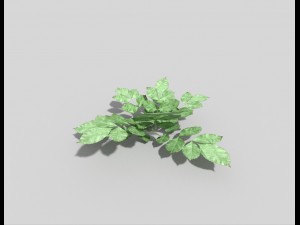 low poly plant Modèle 3D