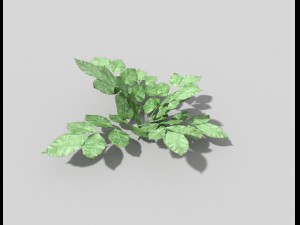 low poly plant Modèle 3D
