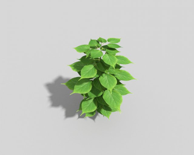 low poly plant 3D Model .c4d .max .obj .3ds .fbx .stl .blend 