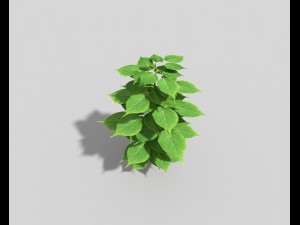 low poly plant 3D 모델