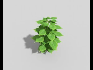 लो पॉली प्लांट 3D मॉडल