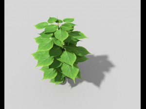 low poly plant 3D Model