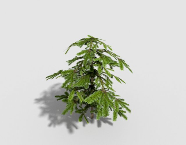 low poly shrub 3D Model .c4d .max .obj .3ds .fbx .stl .blend 