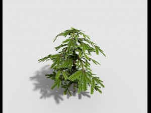 low poly shrub 3D Model