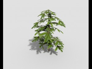 low poly shrub 3D Model